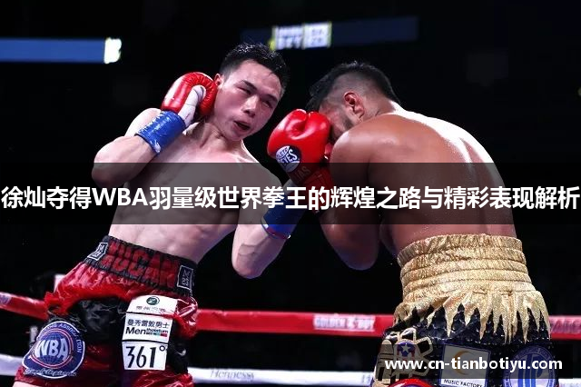 徐灿夺得WBA羽量级世界拳王的辉煌之路与精彩表现解析