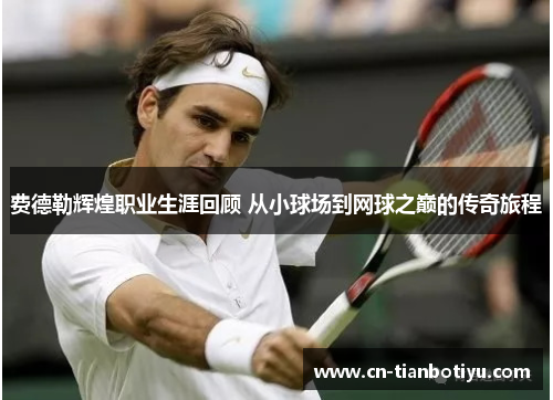 费德勒辉煌职业生涯回顾 从小球场到网球之巅的传奇旅程