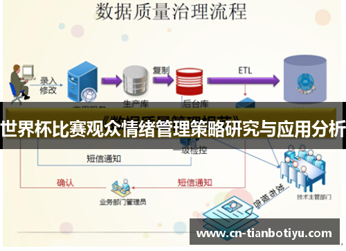 世界杯比赛观众情绪管理策略研究与应用分析