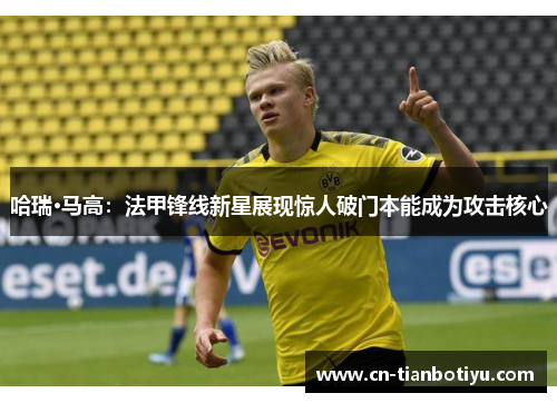 哈瑞·马高:法甲锋线新星展现惊人破门本能成为攻击核心 哈瑞·马高:法甲锋线新星展现惊人破门本能成为攻击核心