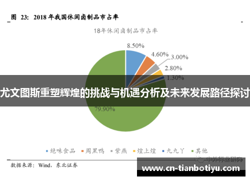 尤文图斯重塑辉煌的挑战与机遇分析及未来发展路径探讨 尤文图斯重塑辉煌的挑战与机遇分析及未来发展路径探讨