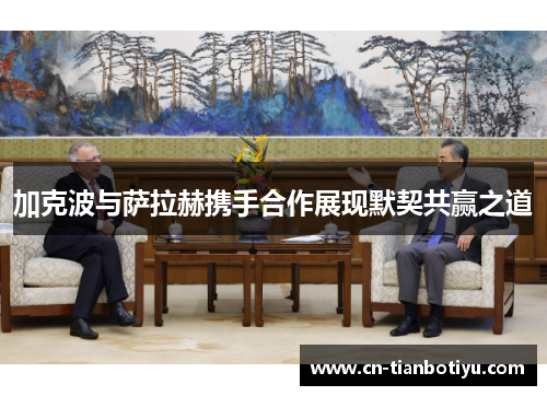 加克波与萨拉赫携手合作展现默契共赢之道