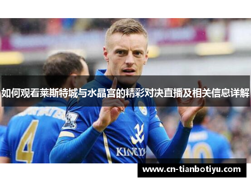 如何观看莱斯特城与水晶宫的精彩对决直播及相关信息详解