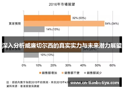深入分析威廉切尔西的真实实力与未来潜力展望
