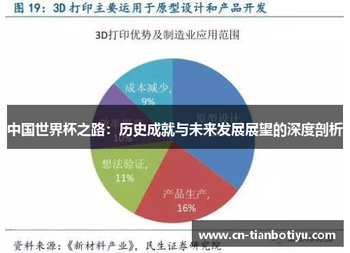 中国世界杯之路：历史成就与未来发展展望的深度剖析